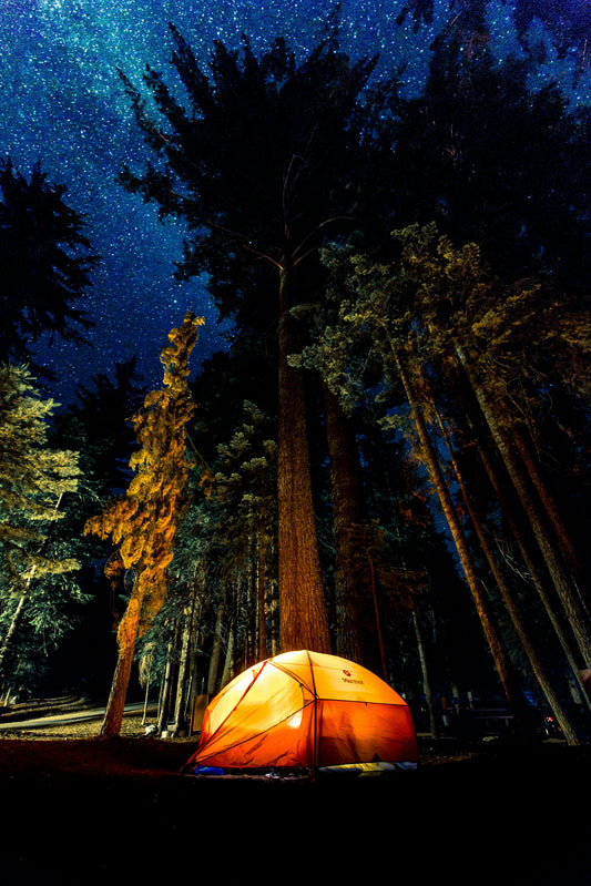 The Joys of Summer Camping as a Dad